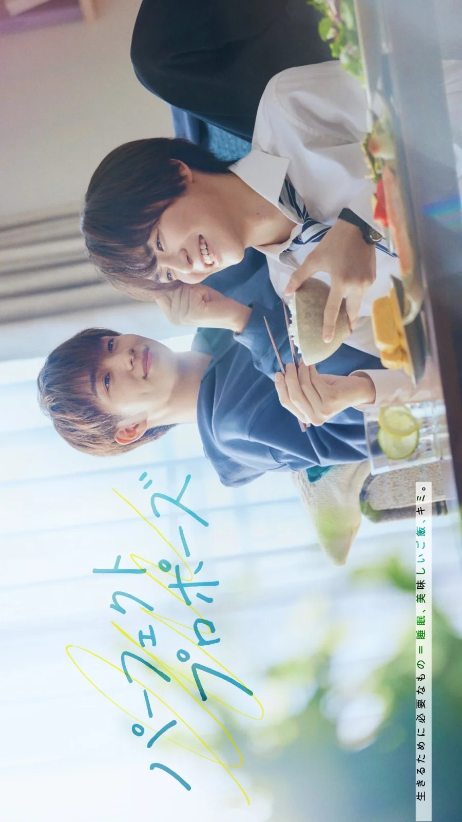 Идеальное предложение - главный постер