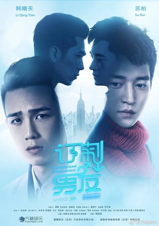 Индивидуальный компаньон - главный постер